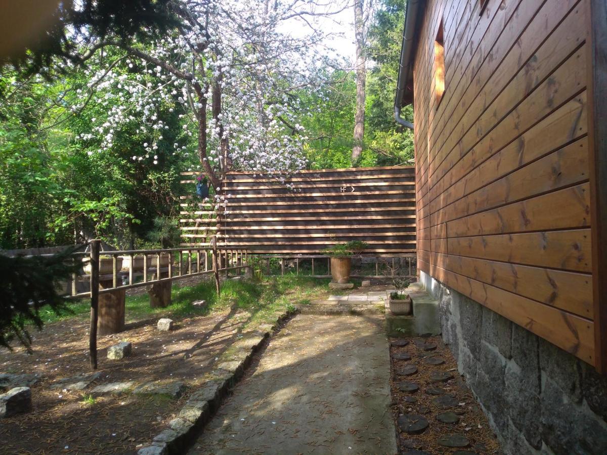 Apartman Hf Liberec Exterior photo